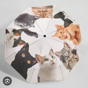 Cat Box Umbrella Cat Print Rain Spring Unique Gift NWT